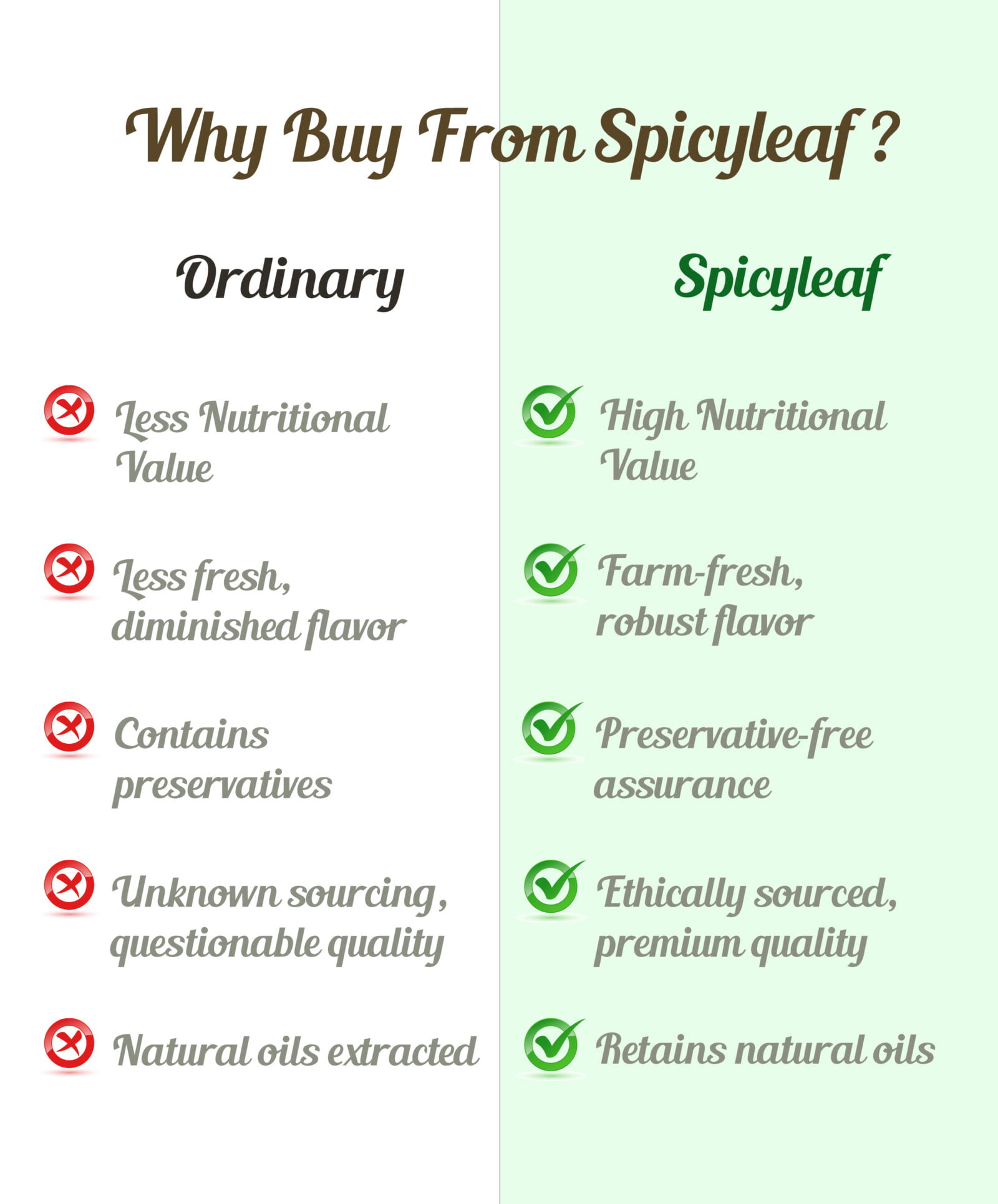 Why Spicyleaf Cumin Seeds